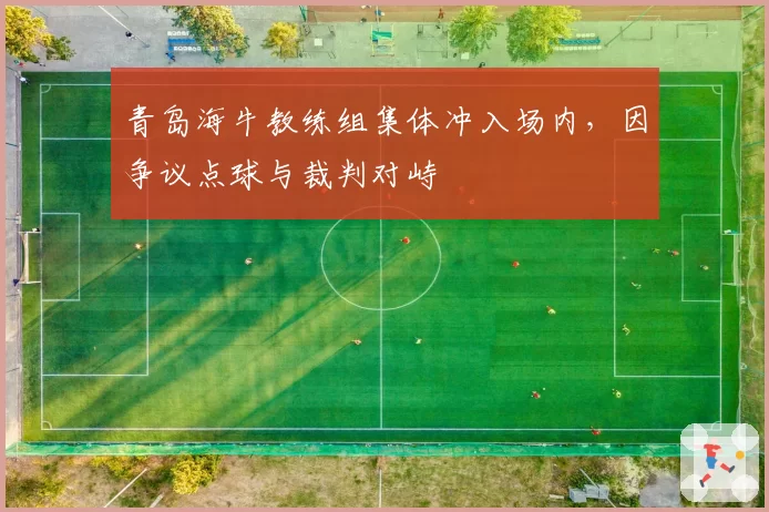 青岛海牛教练组集体冲入场内，因争议点球与裁判对峙