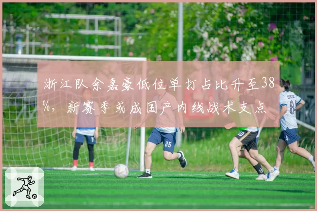 浙江队余嘉豪低位单打占比升至38%,新赛季或成国产内线战术支点